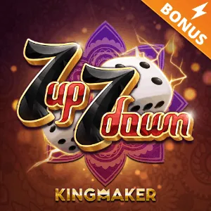 Beginner's Guide to Live Casino